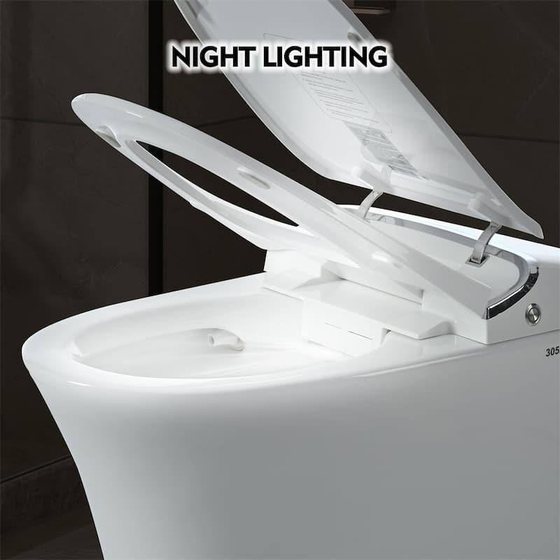 Luxury Smart Toilet w/ Dryer & Warm Water, Heated Seat, Remote Control