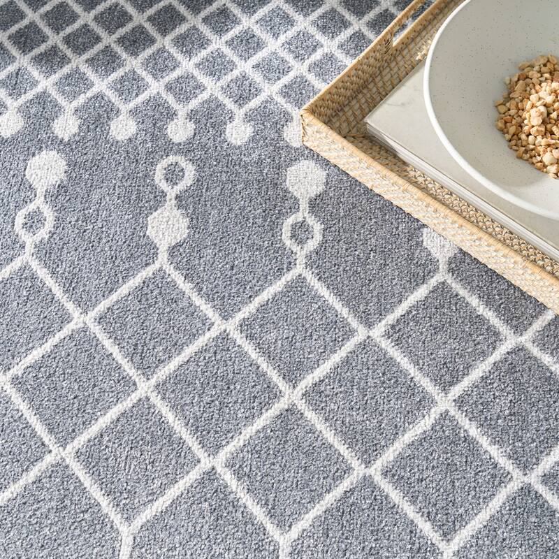 Nourison Astra Machine Washable Moroccan Area Rug