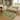 Premium Washable Super Soft Christmas Holly Mayfield Rug