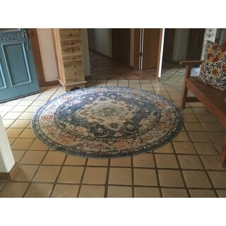 The Gray Barn Peaceful Acres Traditional Persian Vintage Fancy Area Rug
