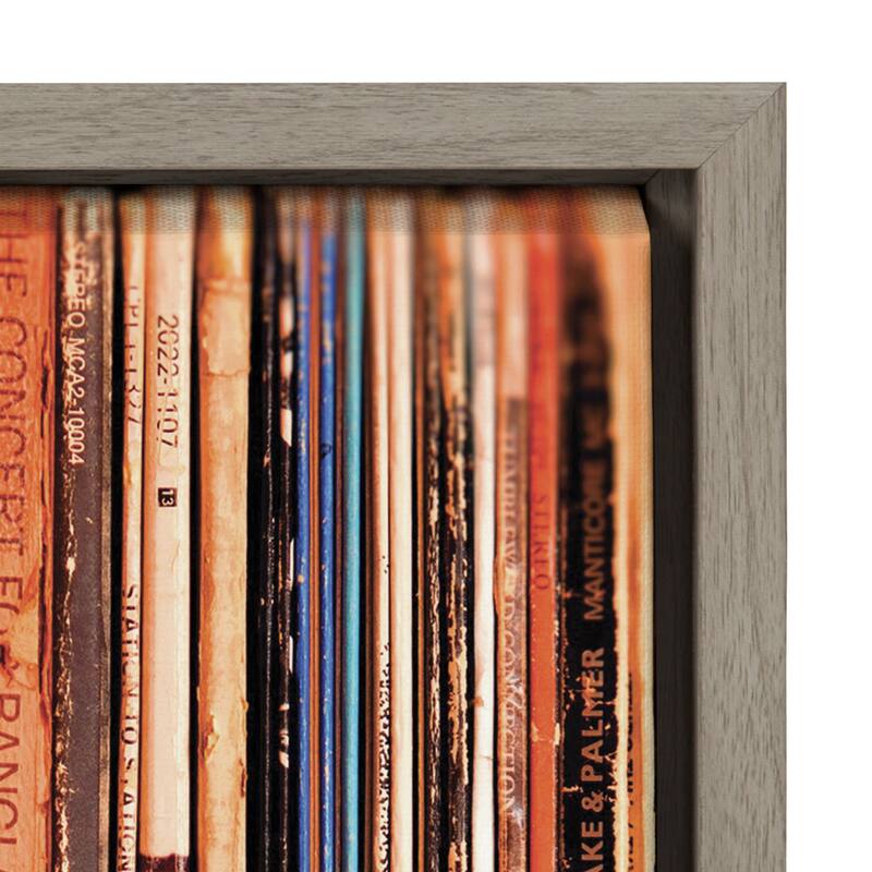 Kate and Laurel Sylvie Record Sleeves Framed Canvas by Robert Cadloff