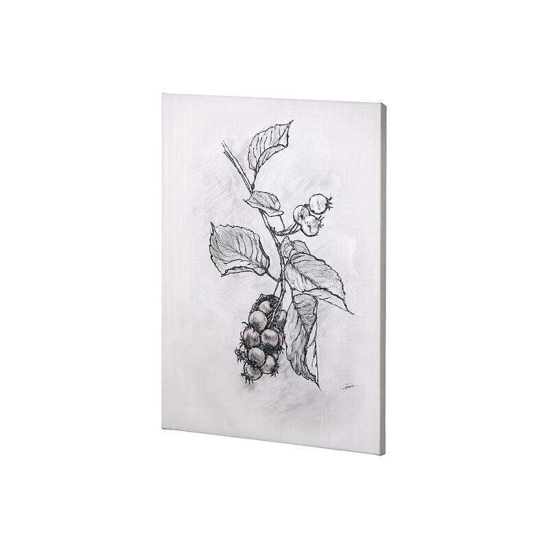 Wildberry Collection Saskatoonberry (27 x 36) Canvas Art Print