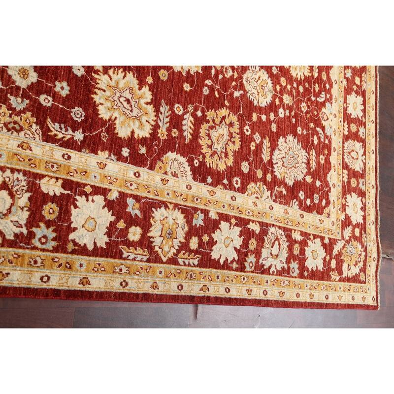 Vegetable Dye Floral Chobi Peshawar Area Rug Hand-knotted Wool Carpet - 9'1" x 12'0"