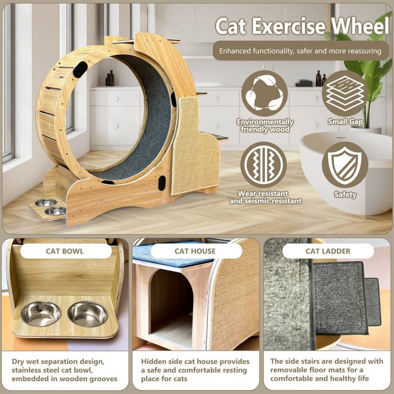 Cat Exercise Wheel With Silent Wheel Wood