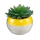 preview thumbnail 1 of 7, Succulent in Two tone lines pattern ceramic pot ,Teal - ONE-SIZE Yellow