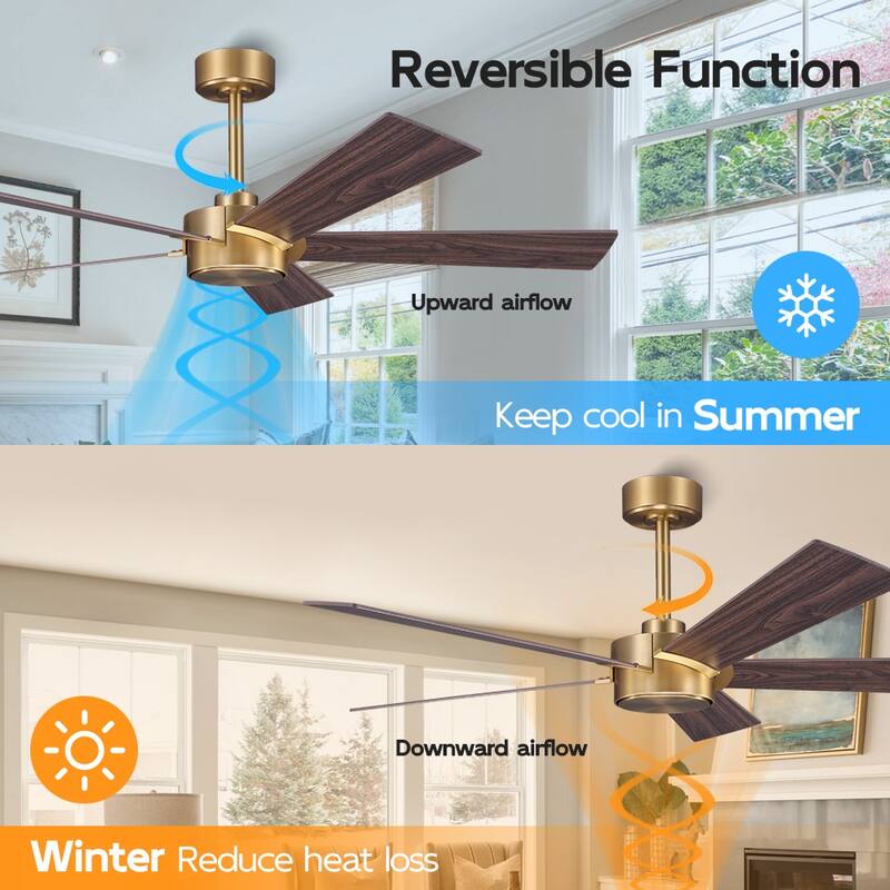 MLiAN 54 inch 5 Blades Indoor Ceiling Fan Remote Control 6-Speed DC - N/A