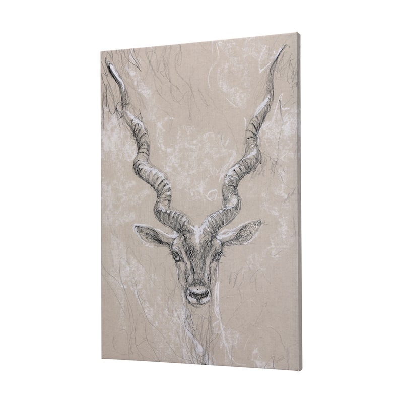 Sketch of Animal III (Antelope) (40 x 60) Canvas Art Print