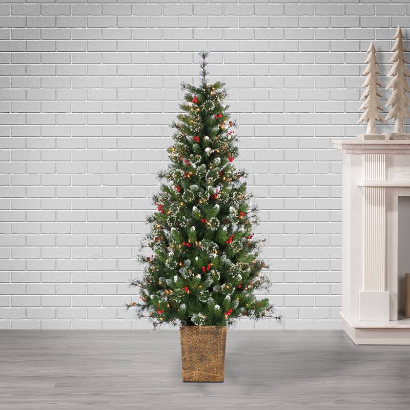 6ft Pre Lit Clear UL Potted Hard Needle Glazier Pine