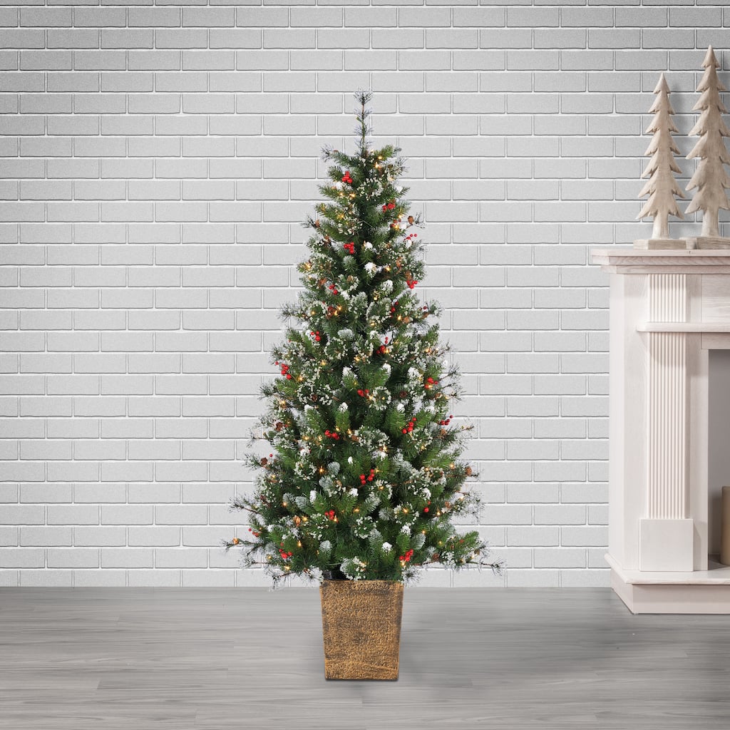 6ft Pre Lit Clear UL Potted Hard Needle Glazier Pine
