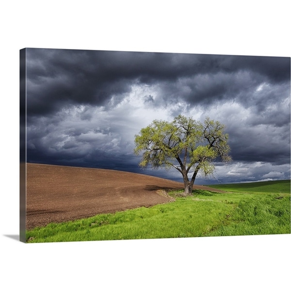 "Sole witness to the drama, Washington State" Canvas Wall Art