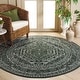 preview thumbnail 5 of 166, SAFAVIEH Adirondack Cheyenne Rustic Oriental Medallion Rug