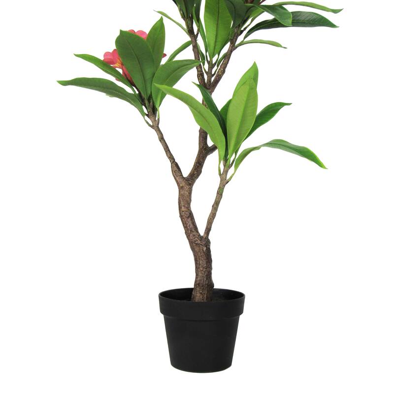 3ft Fuchsia Artificial Plumeria Flower Tree Tropical Plant in Black Pot - 36" H x 20" W x 17" DP