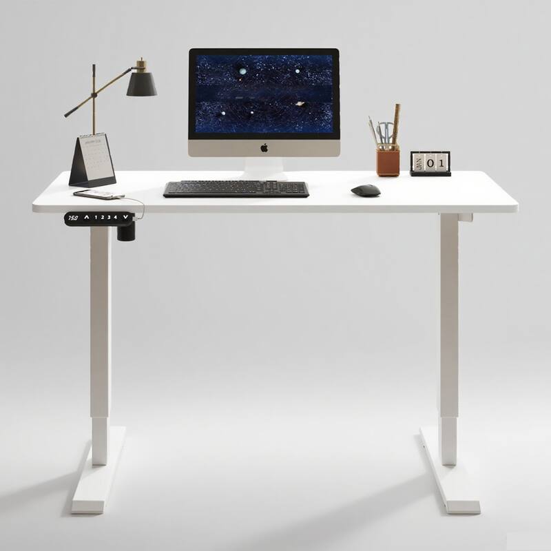 Rossetta 55" Electric Height Adjustable Standing Desk with Double Beam Single Motor
