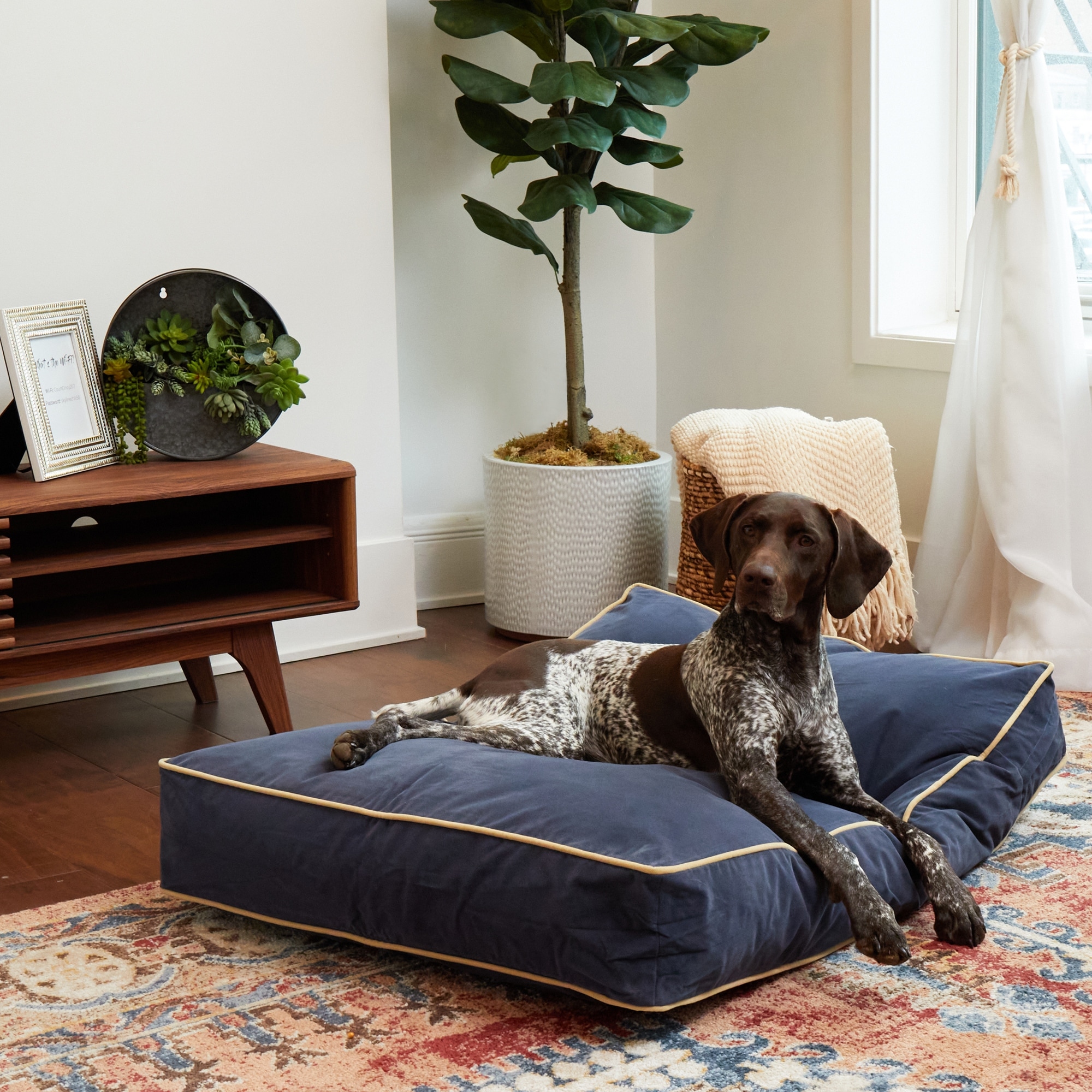 Happy Hounds Busby Denim Blue Dog Bed