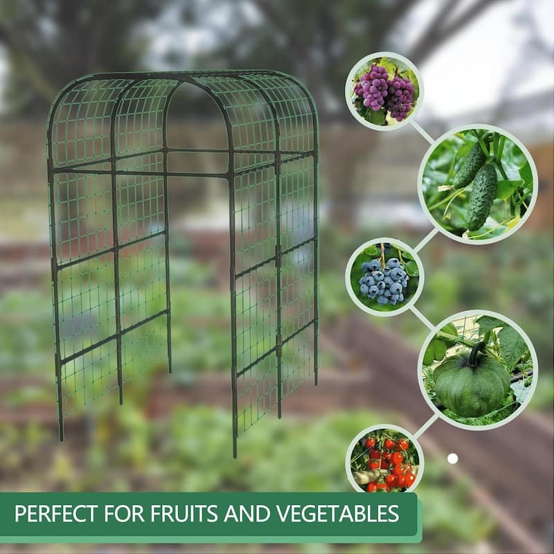 7.3FT Metal Garden Arch Trellis Plant Support for Raised Beds Climbing Vegetables Cucumbers and Vines Black