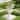 Christopher Knight Home - Rowan Outdoor/Indoor Retro Urn Planter, Lightweight MGO Pedestal Base & Scrollwork Relief Handles