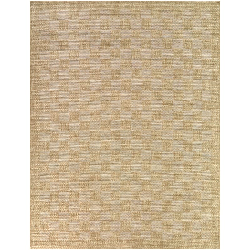 Osborne Checkered Indoor/Outdoor Area Rug