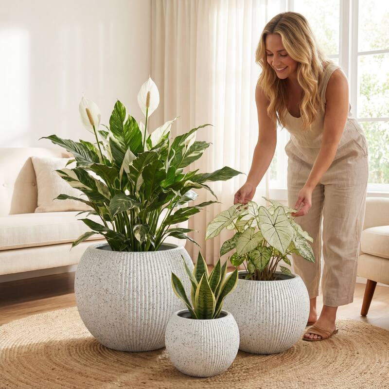 DTY Signature Mount Sherman 1-Piece Fiberstone Planter for Indoor/Outdoor