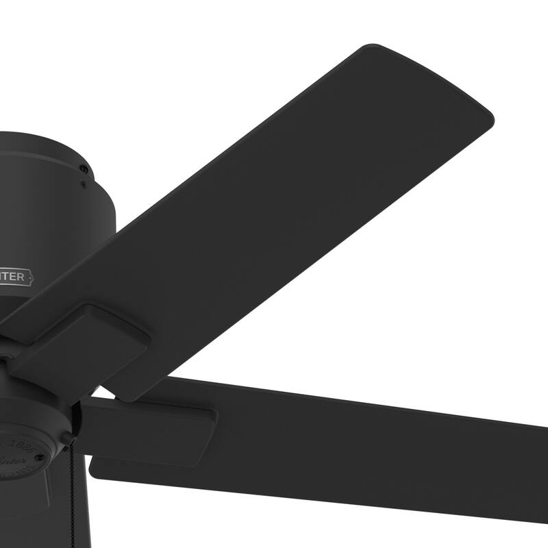Hunter 44" Terrace Cove Outdoor Low Profile Ceiling Fan and Pull Chain, Damp-Rated