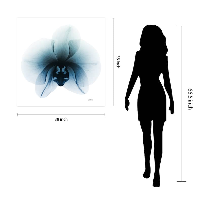 "Glacial Orchid" Frameless Free Floating Tempered Glass Panel Graphic Wall Art