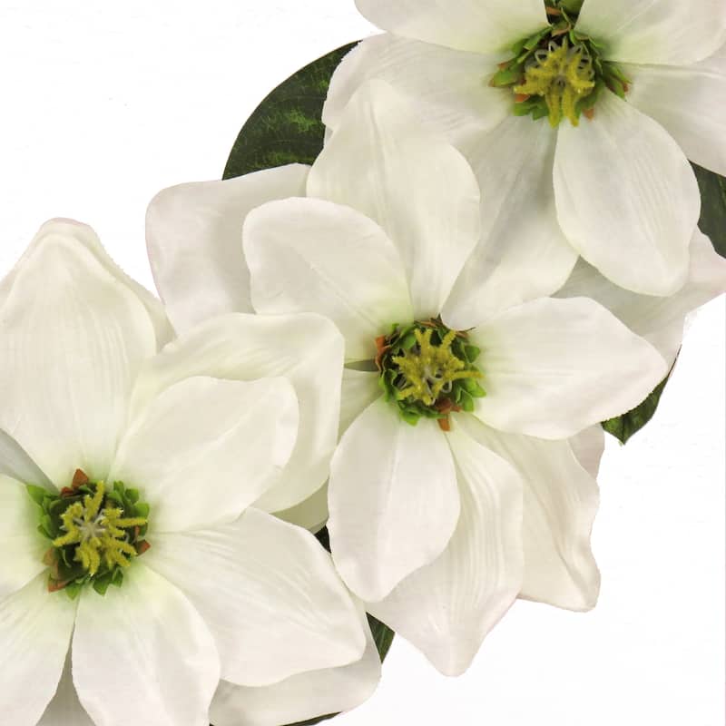 National Tree Company 24 inch Artificial Spring Wreath with Magnolia Flowers, Realistic Floral Decoration for Front Door - 24 in