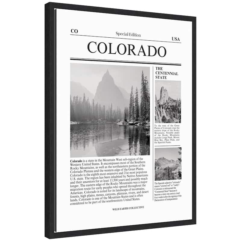 Kate and Laurel Colorado Article by Megan Ryan Framed Canvas Wall Art Print - 18x24