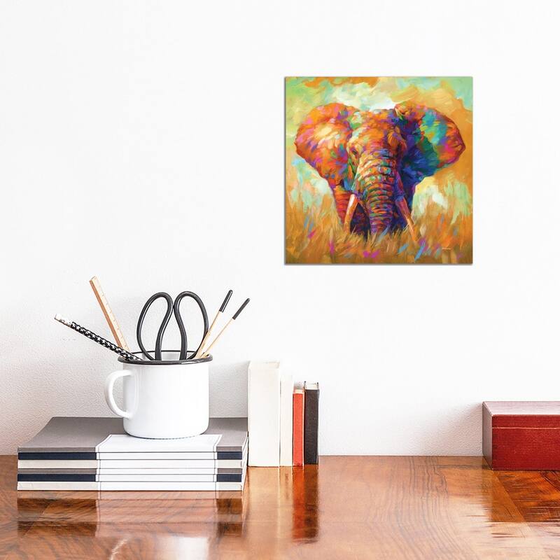 iCanvas "Elephant" by Leon Devenice Canvas Print - 12x12x0.75