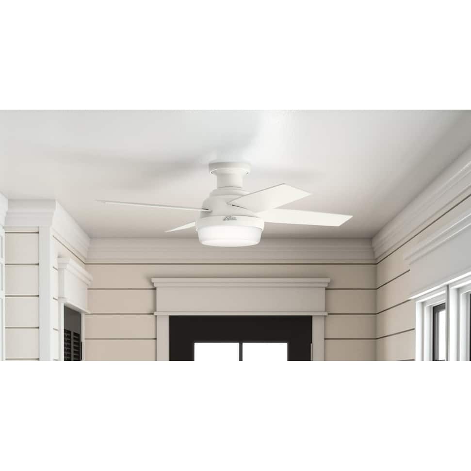 Hunter 44" Dempsey Low Profile Outdoor Ceiling Fan with LED Light Kit and Handheld Remote, Damp Rated, Contemporary, Industrial