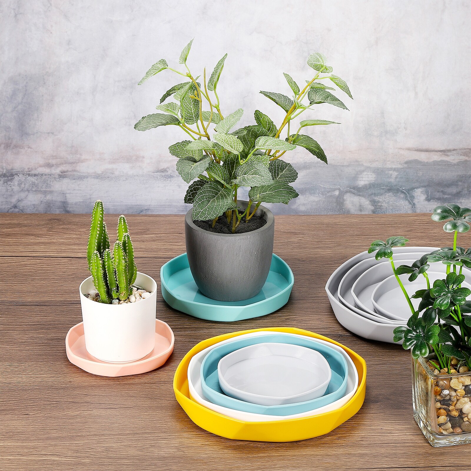 Plant Pot Saucers 3.9 Inch Plastic Plant Saucer Flower Drip Tray White -  Bed Bath & Beyond - 38432227