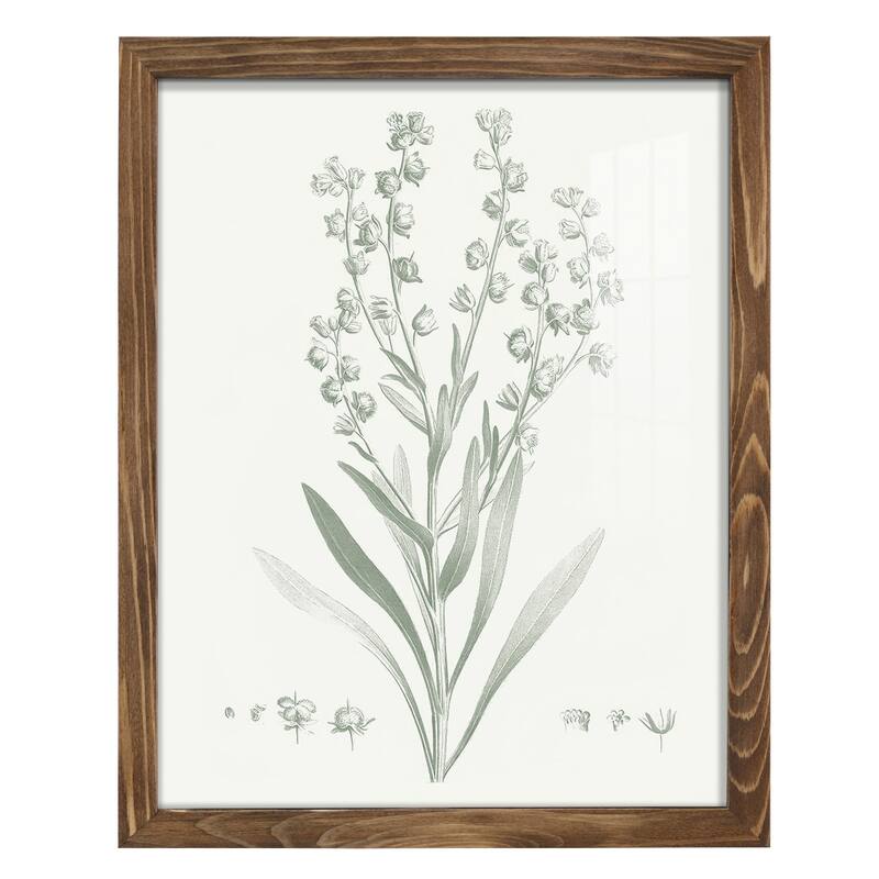 Botanical Study in Sage I -Framed Print w/glass-Cherry Red