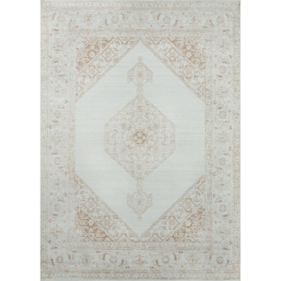 ECARPETGALLERY Machine Woven Maude Brown Area Rug