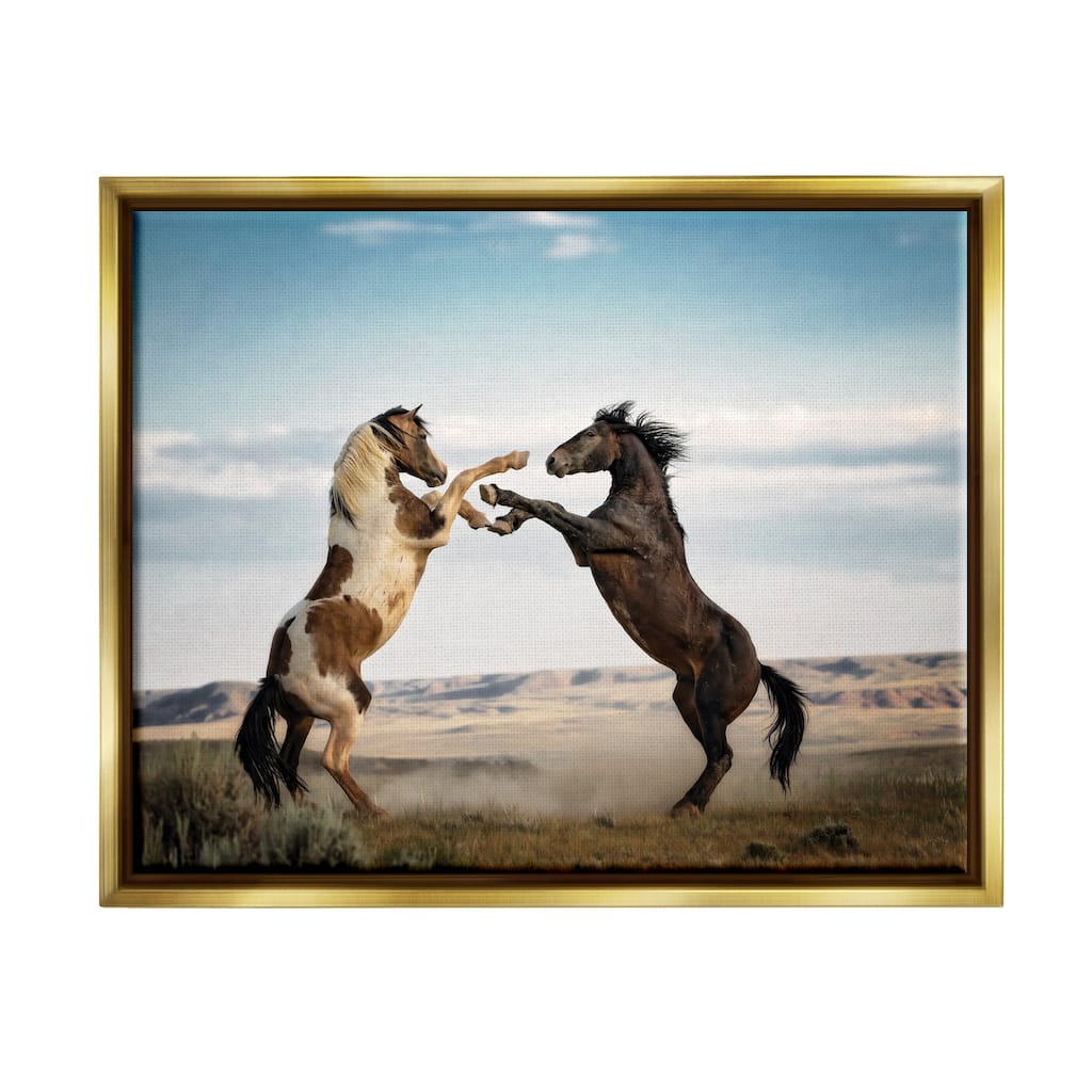 Stupell Fighting Horses Photography Framed Floater Canvas Wall Art Design by PBurchettePhoto