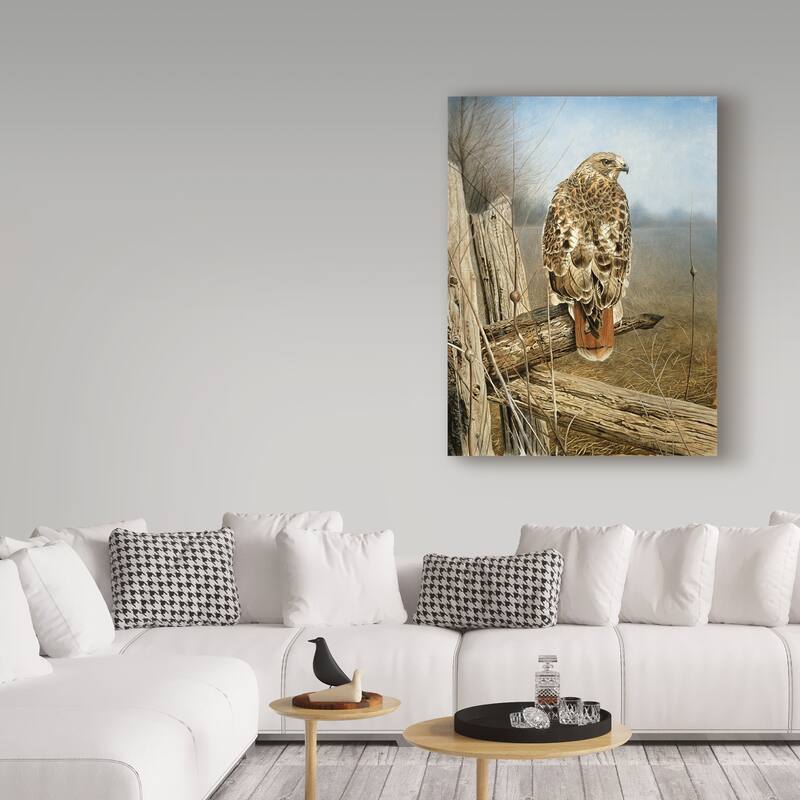 Rusty Frentner 'Red Tailed Hawk' Canvas Art