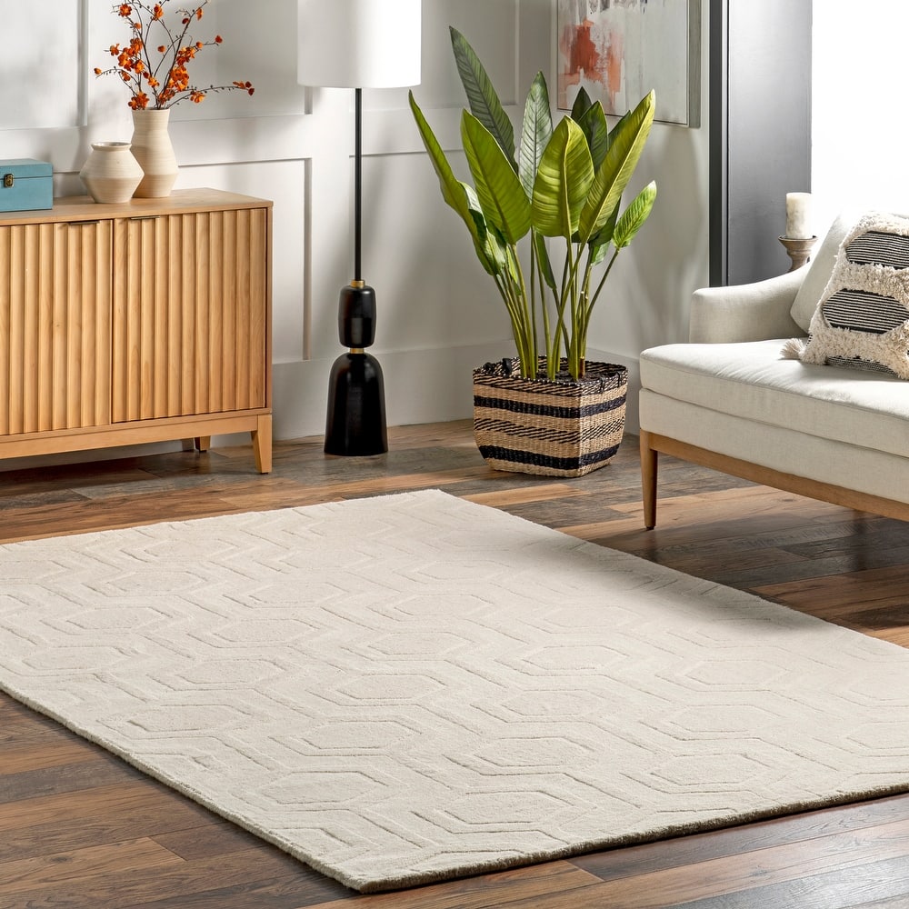 Nuloom Hand Woven Ambrose Area Rug