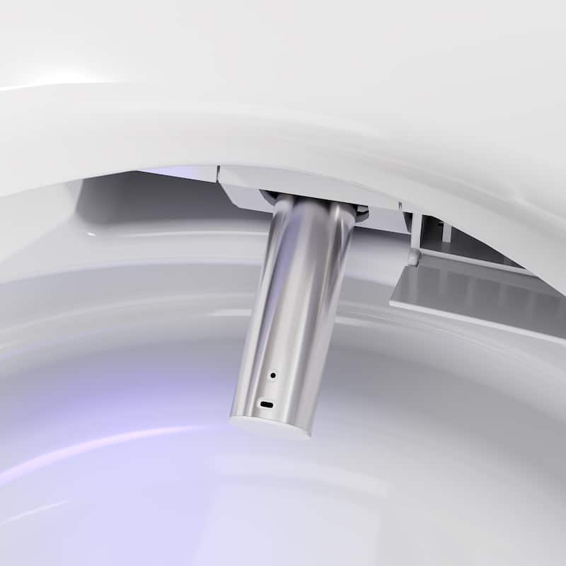 Smart Toilet with Heated Seat & Warm Air Dryer, Auto Flush One Piece Toilet with Night Light, Self Cleaning Nozzle