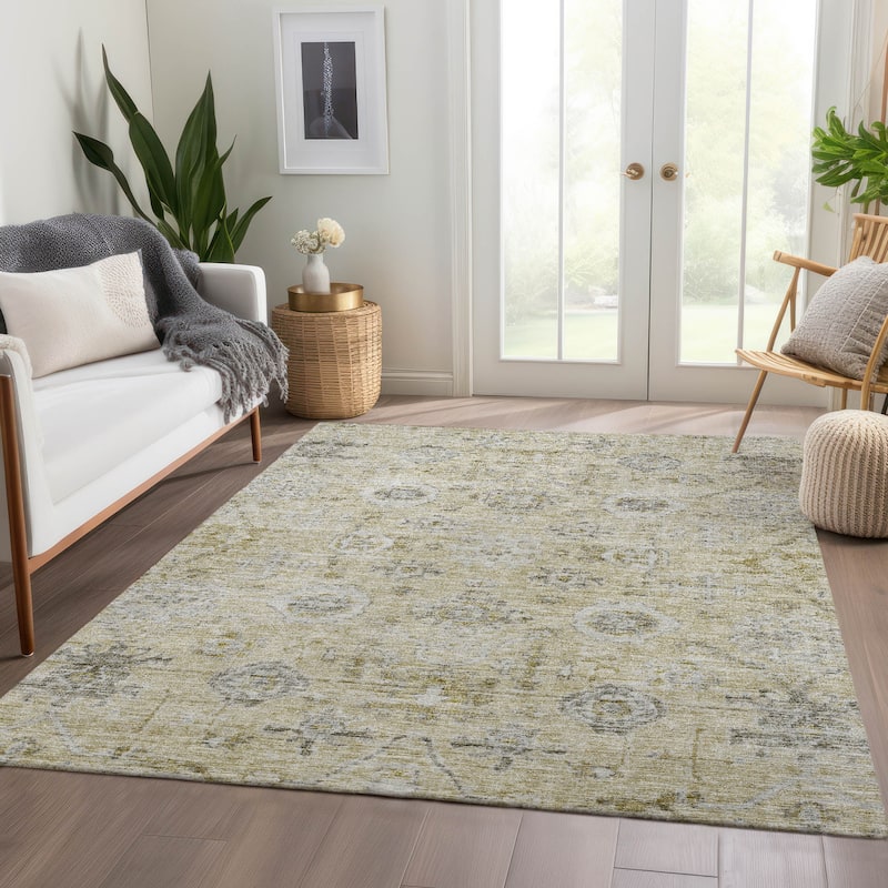 Machine Washable Indoor/ Outdoor Vintage Traditional Chantille Rug