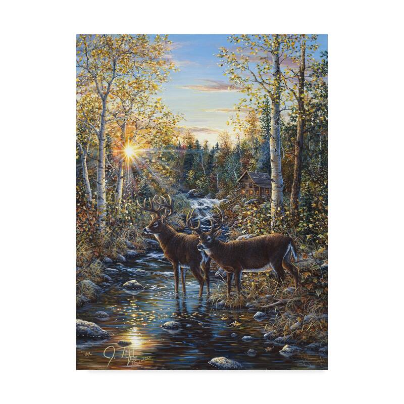 Jeff Tift 'Whitetail Deer' Canvas Art