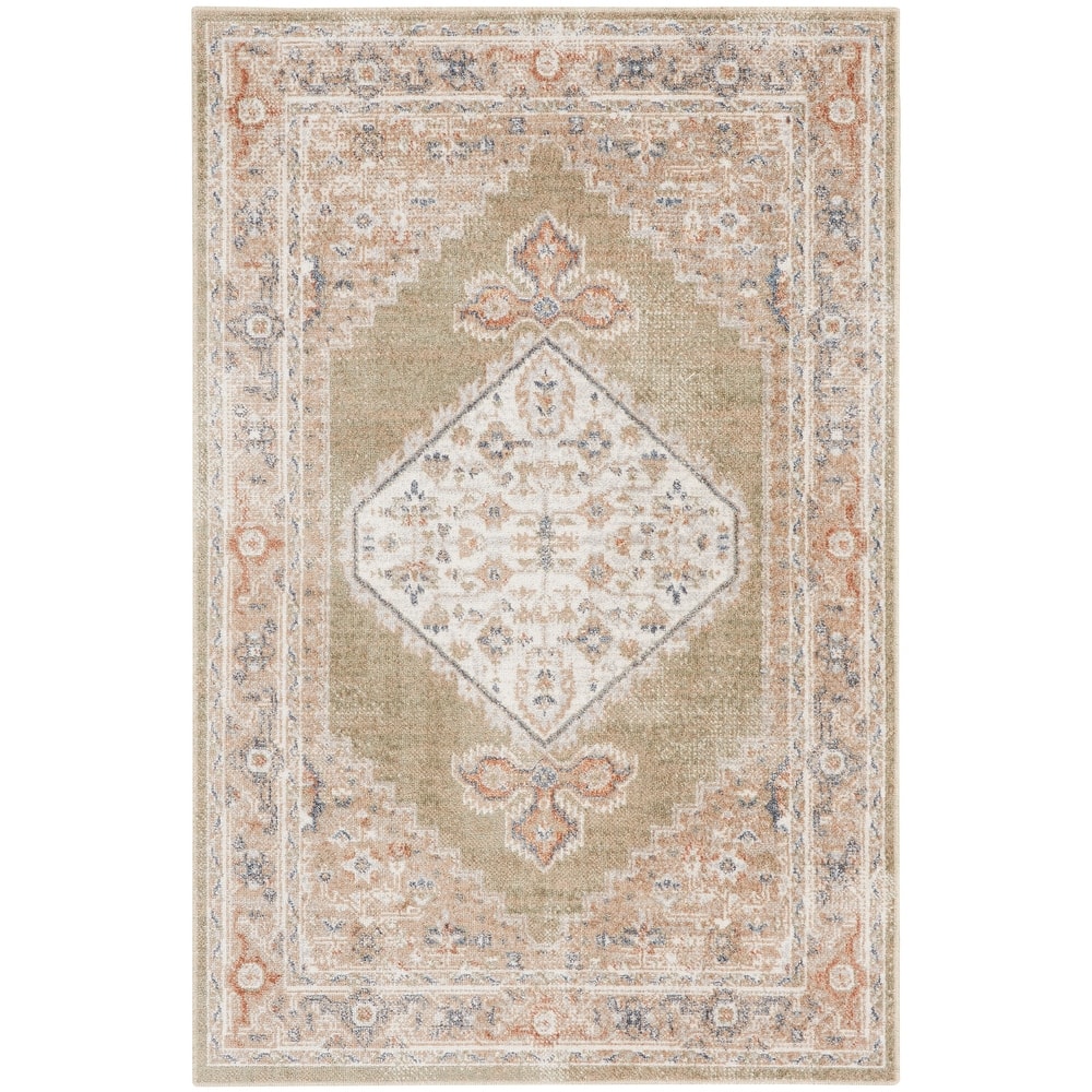 Nourison Astra Machine Washable Distressed Area Rug
