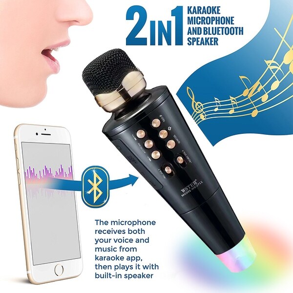 portable disco speaker