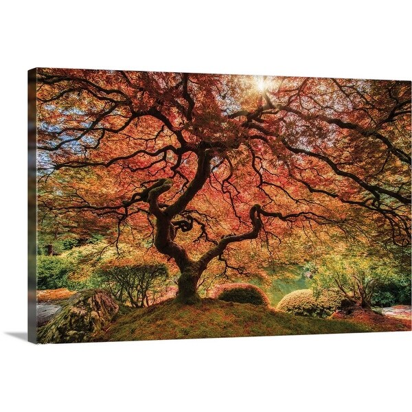 "First Colors of Fall I" Canvas Wall Art
