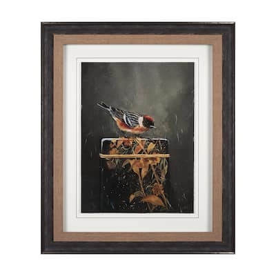 Graceful Poise III (Bay-Breasted Warbler) Framed Art Print