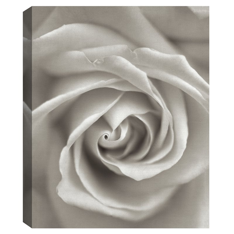 Florison #23 by Alan Blaustein Canvas Art Print