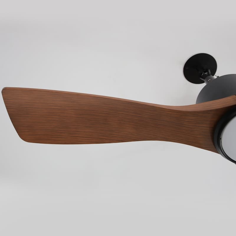 42" Indoor/Outdoor Black Modern Plug-In Ceiling Fan with Light