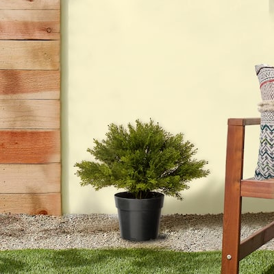 National Tree Company 15 in. Globe Cedar Tree - 15 inches
