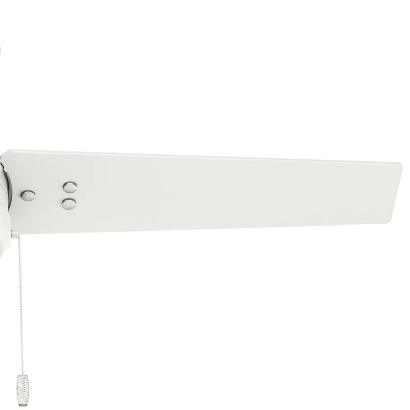 Hunter Cassius Outdoor 44 inch Ceiling Fan 50262