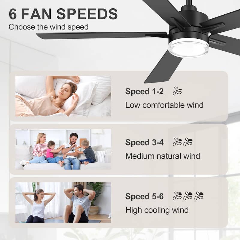 52" Modern Black Reversible 5-Blade Clear Acrylic Lens Ceiling Fan with Light and Remote