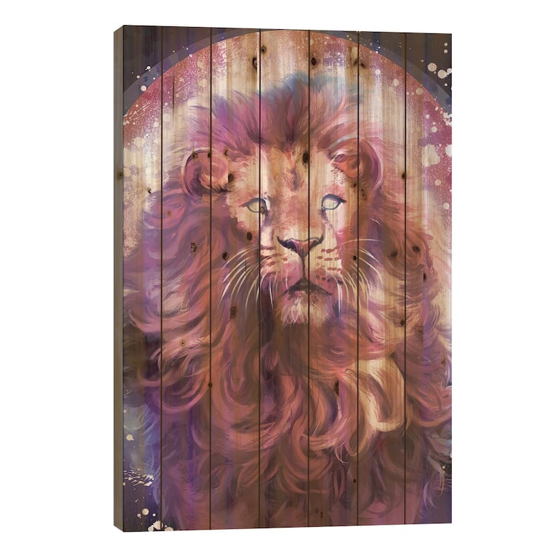 Nova Print On Wood by Louise Goalby - Multi-Color - 26x18x1.5