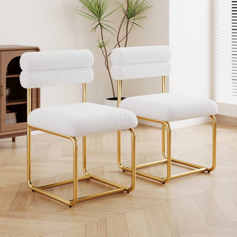 Set of 2 Dining Chairs, Upholstered Chair Side Chair with Sturdy Metal Frame