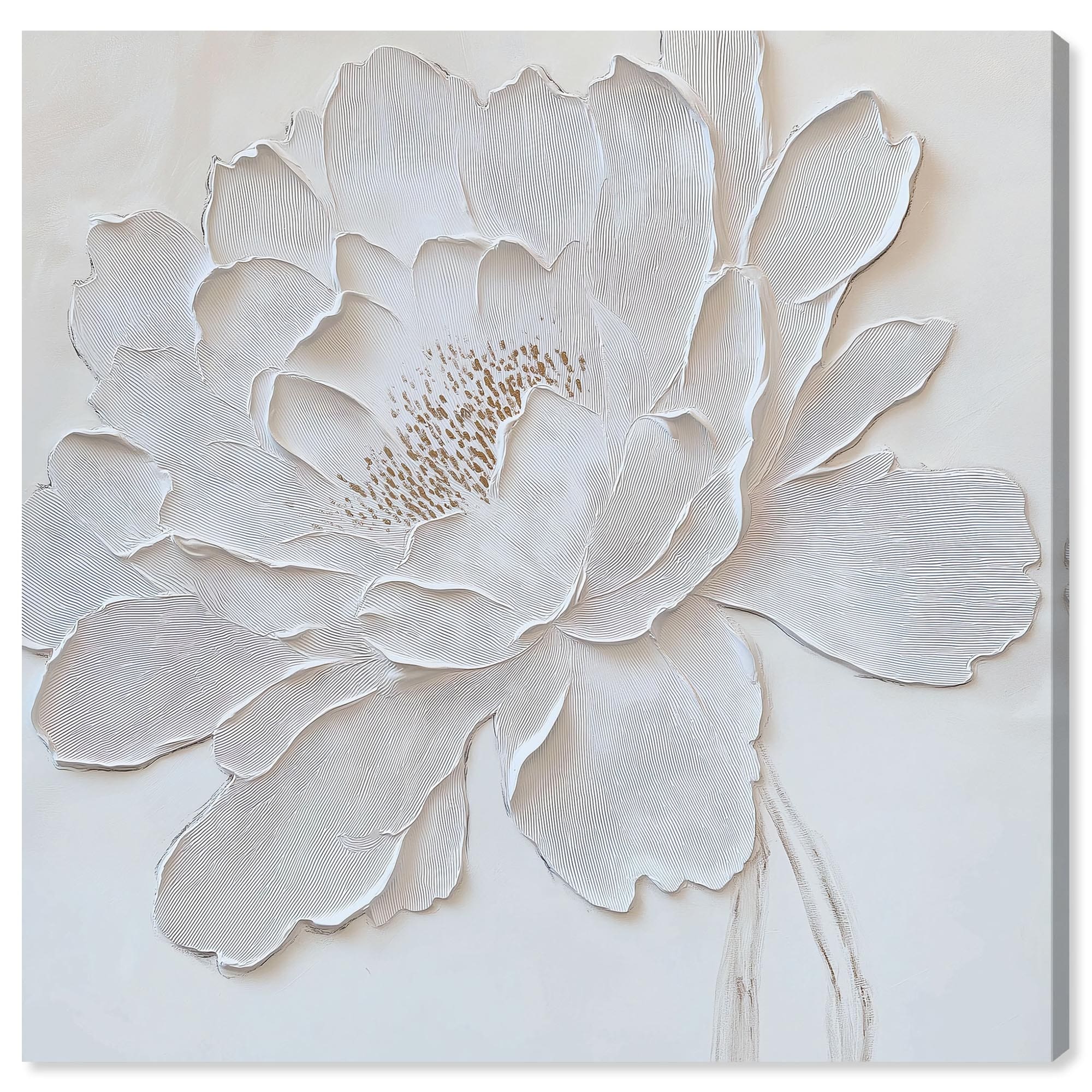 White Peony in Relief Floral Wall Art Wrapped Canvas Print by Art Remedy