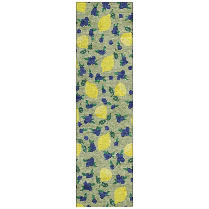 Machine Washable Indoor/ Outdoor Citrus Berry Chantille Rug